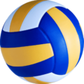 Volleyball Net